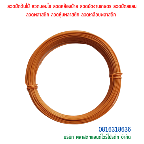 ลวดมัดต้นไม้ ลวดผูกต้นไม้ ลวดขึงสแลน ลวดเพาะชำ ลวดผูกป้าย ลวดบอนไซ ลวดคล้องป้าย ลวดมัดงานเกษตร ลวดลวดมัดสแลน หุ้มแบบกลม-บจก.พลาสติกแอนด์ไวร์โปรดัก SKU-00589