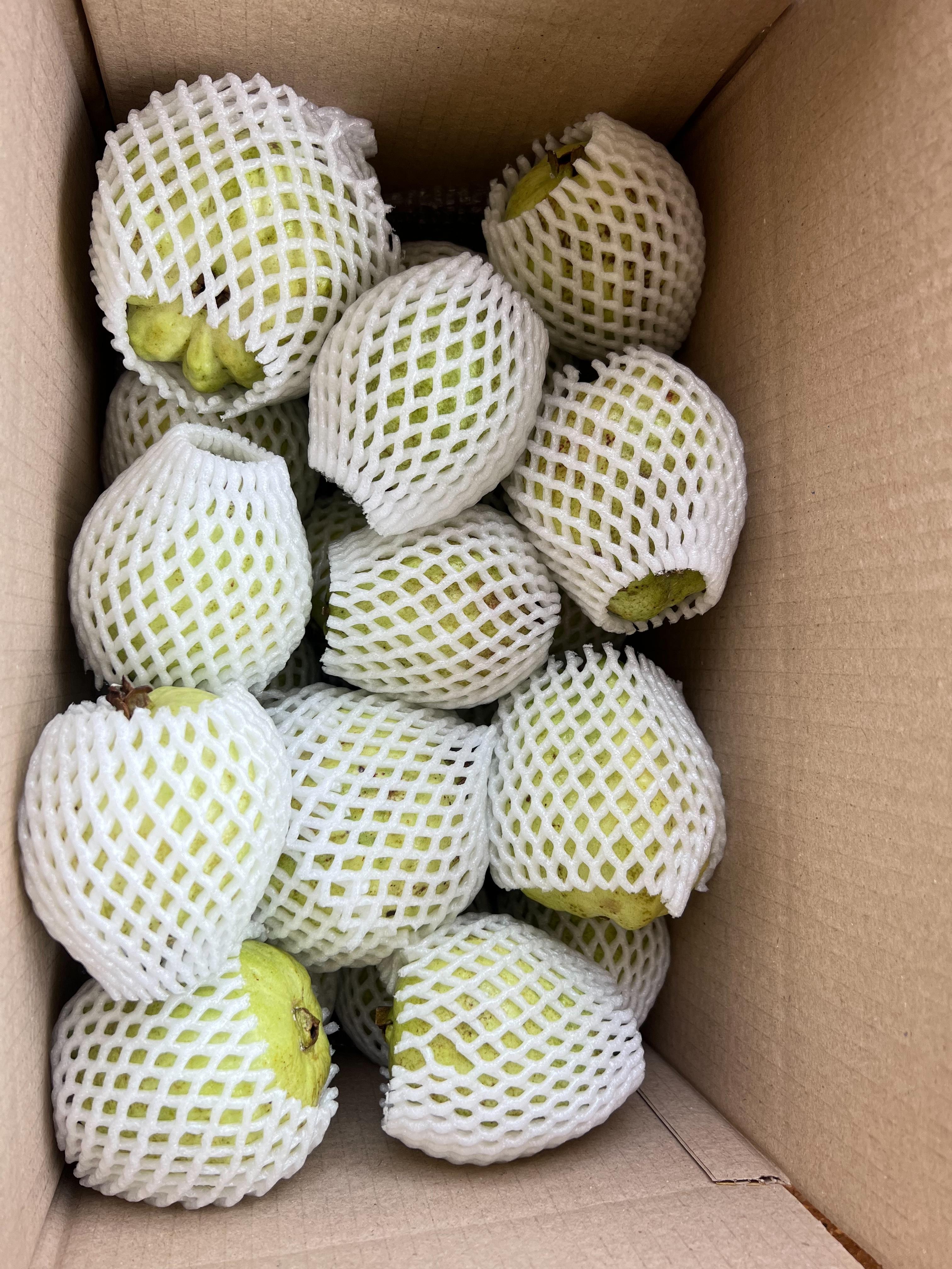 ฝรั่งออแกนิค 5 กก.