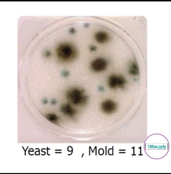 ชุดตรวจยีสต์และเชื้อราในอากาศ “Compact Dry YM” จำนวน 20 ทดสอบ / กล่อง