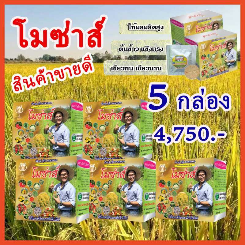 โมซ่าส์ อะมิโนจำเป็น ชนิดเม็ดฟู่