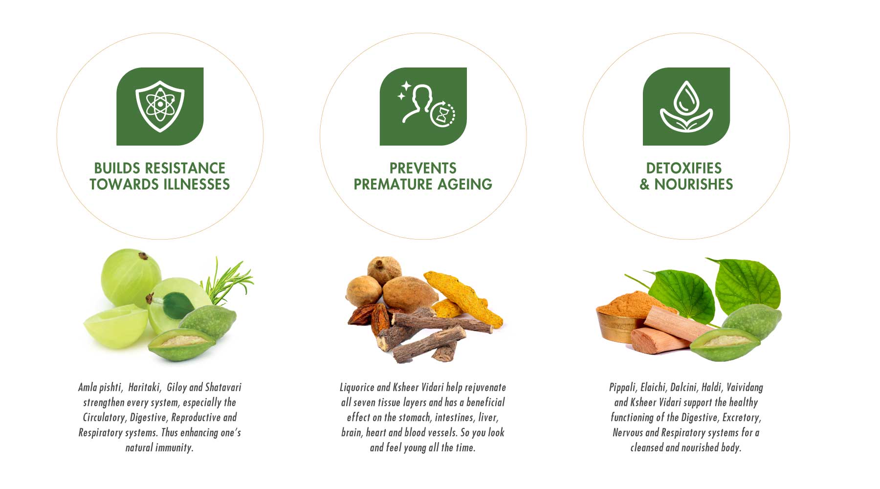 ชเวนปรัสสูตรมหาริชชี่ (แยมมะขามป้อมอินเดีย)