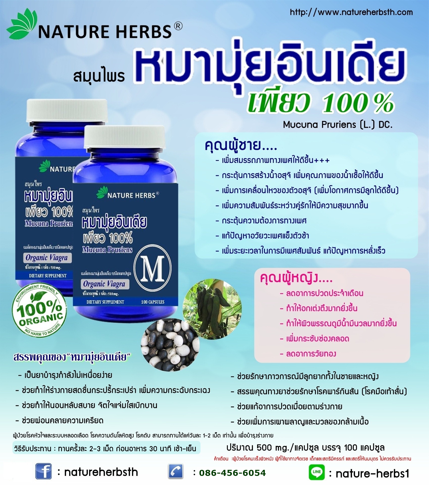 สมุนไพรหมามุ่ยอินเดียแคปซูล 1 ขวด แถม!! หมามุ่ยอินเดีย ขนาด 30 เม็ด 1 ห่อ