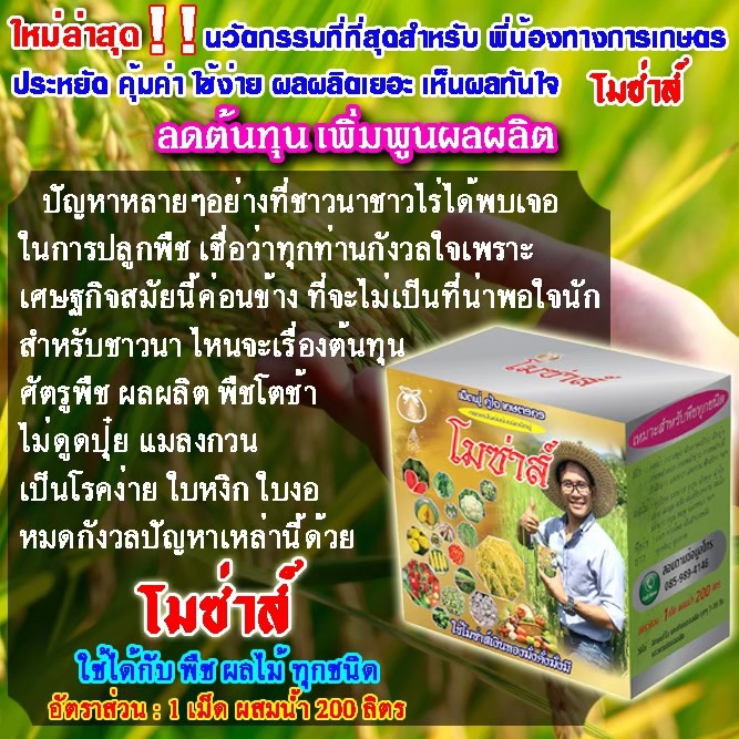 โมซ่าส์ อะมิโนจำเป็น ชนิดเม็ดฟู่