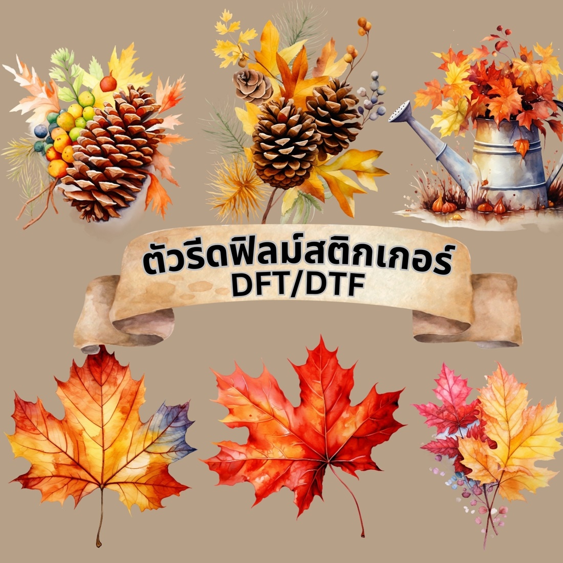 ตัวรีดติดเสื้อ ใบไม้ เมเปิ้ล สติกเกอร์ ฟิลม์รีดร้อน พิมพ์ลาย สกรีนลาย ฟิลม์ DFT DTF
