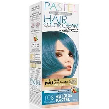 CAREBEAU PASTEL HAIR COLOR CREAM #T08 Ash Blue Pastel 100 G. ครีมเปลี่ยนสีผมแคร์บิว พาสเทล 100 g. ไม่มีแอมโมเนีย และ ไฮโดรเจน เปอร์ออกไซด์ T08-สีน้ำเงินหม่น