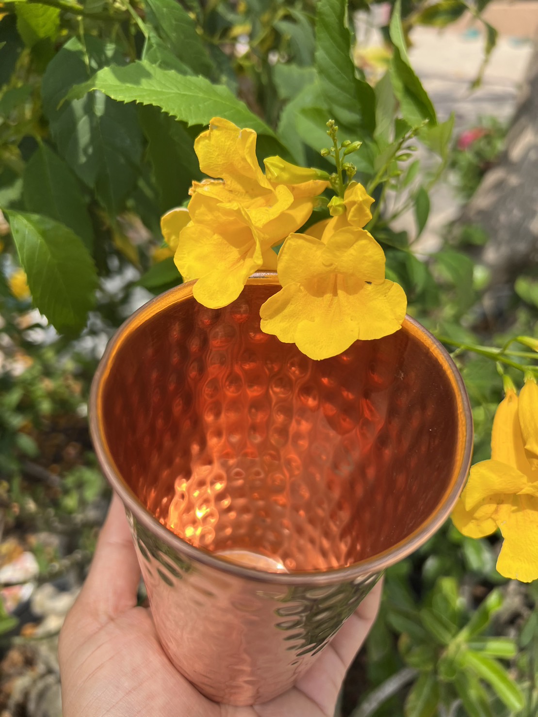 แก้วน้ำทองแดงอินเดีย