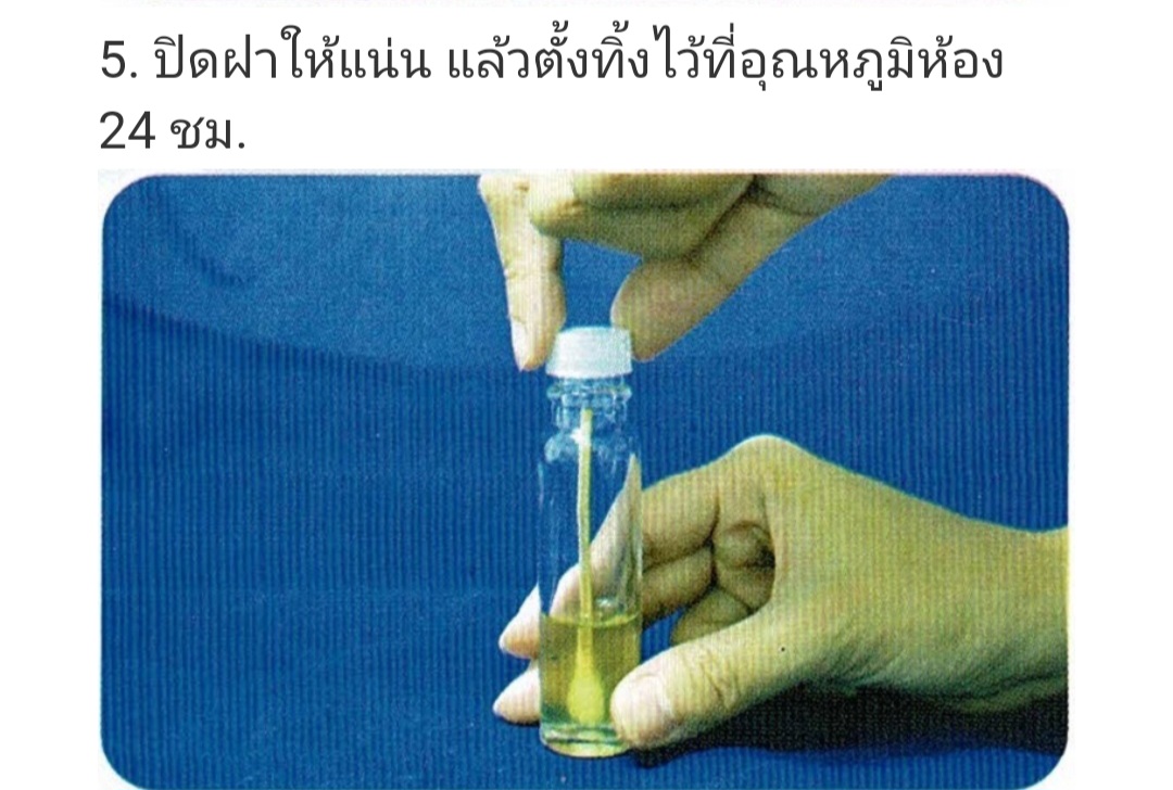 ชุดทดสอบเชื้ออีโคไล E.coliในภาชนะสัมผัสอาหารและมือ 20 Testต่อกล่อง