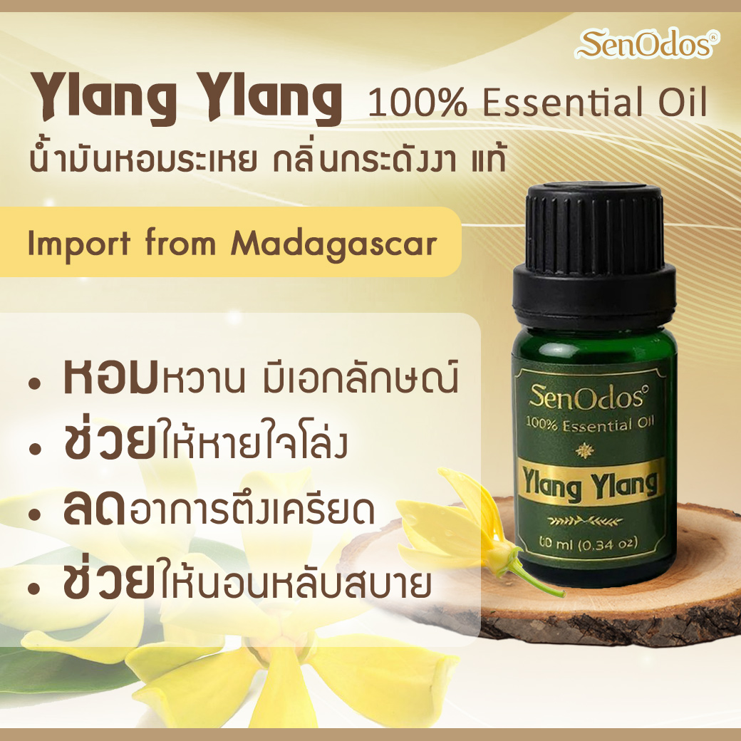 SenOdos Ylang Ylang Pure Essential Oils น้ำมันหอมระเหย แท้ กลิ่นกระดังงา 10ml