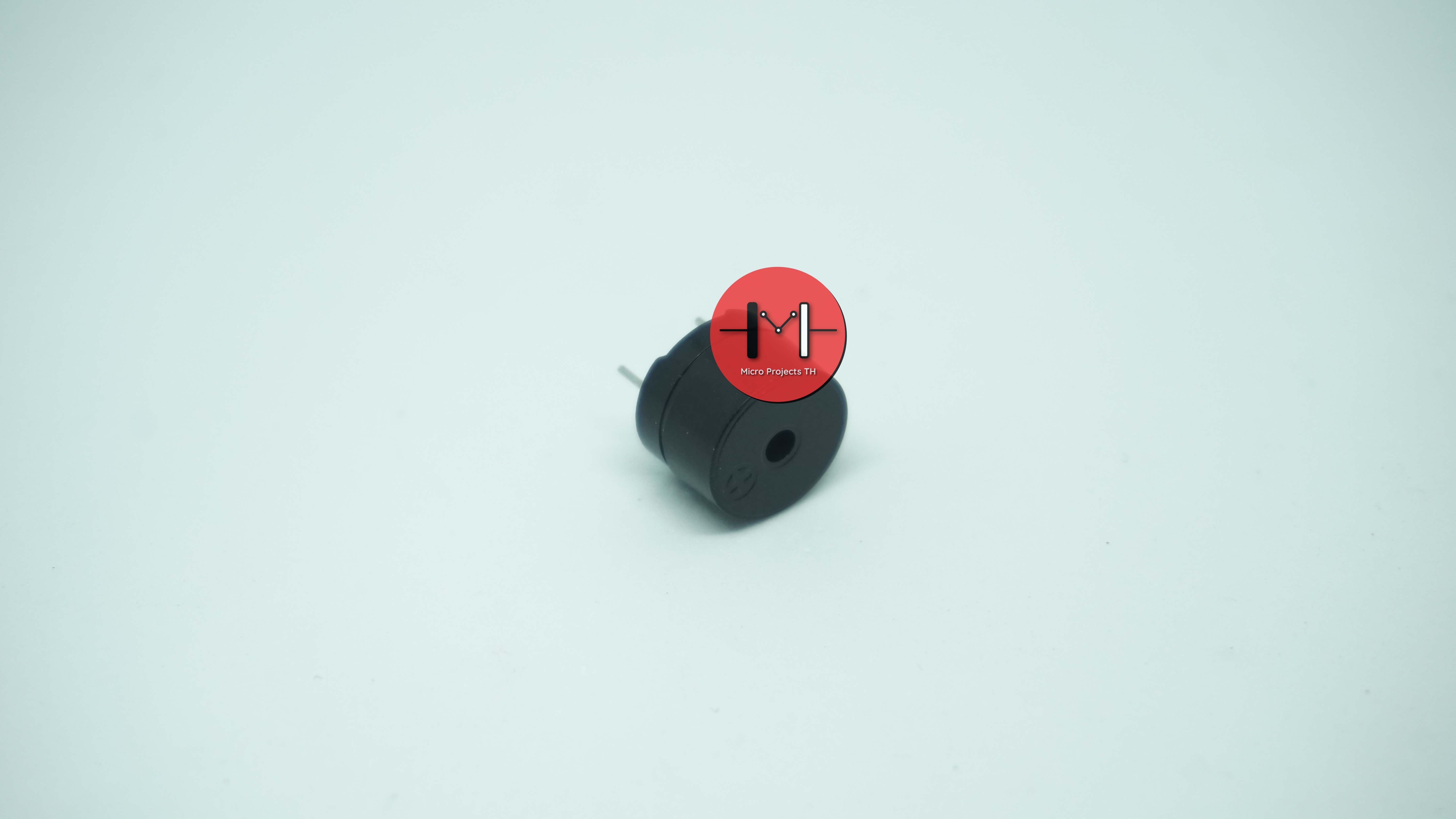 Active Buzzer 12V