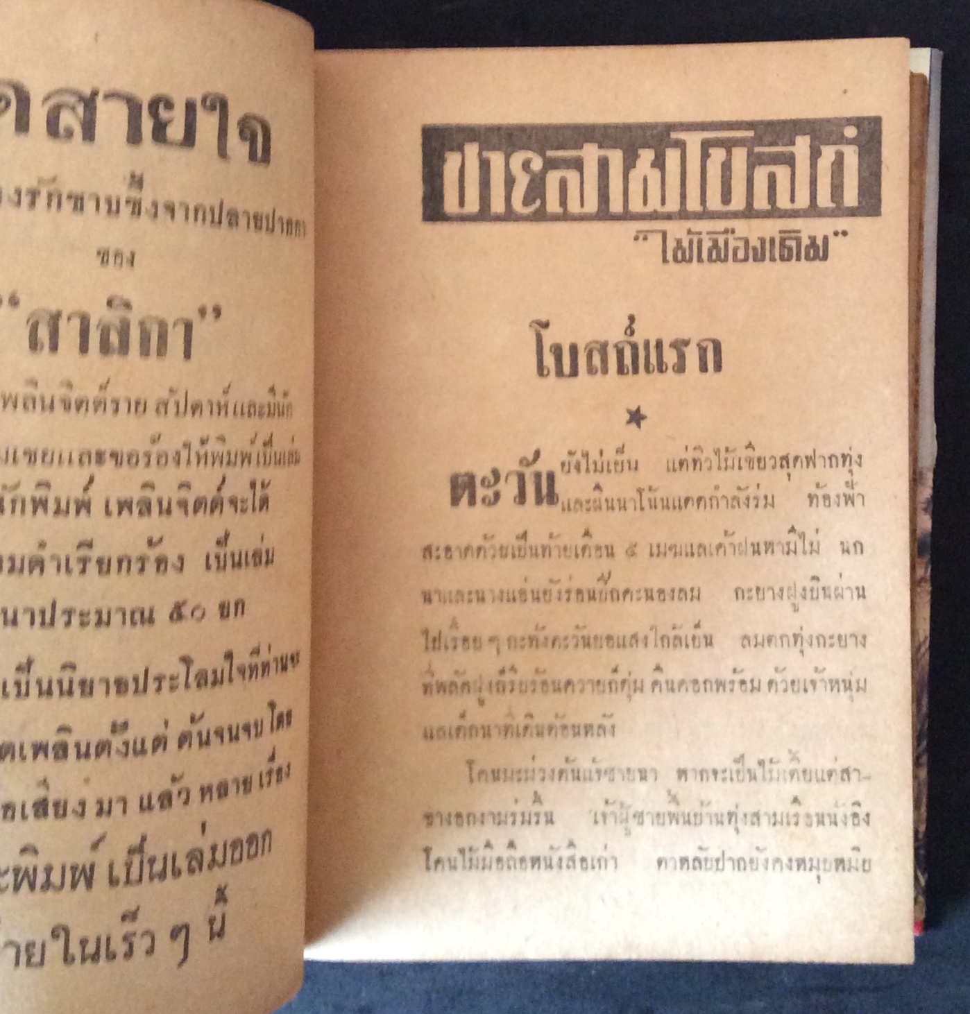 ชายสามโบสถ์/ไม้เมืองเดิม