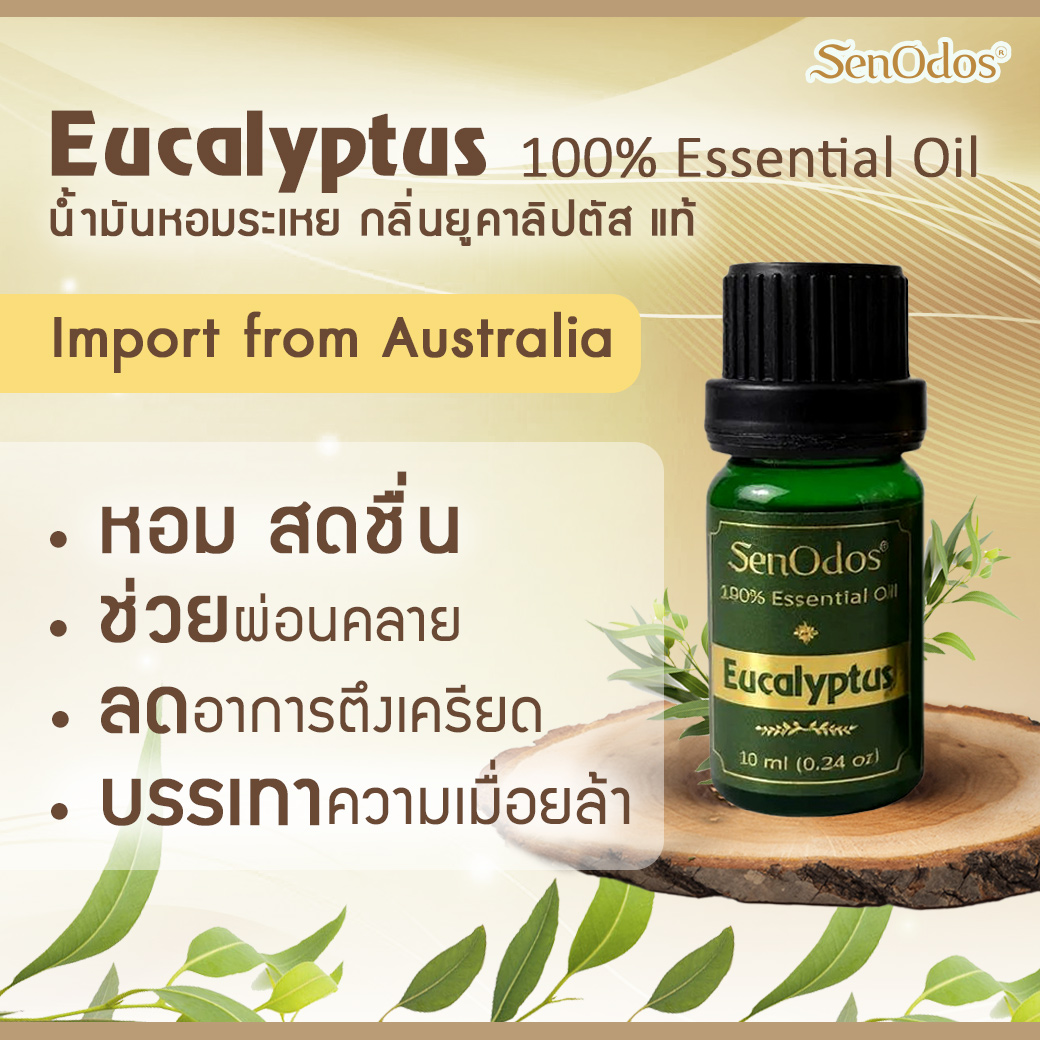 SenOdos น้ำมันหอมระเหยแท้ กลิ่นยูคาลิปตัส 10 ml. Eucalyptus Pure Essential Oils