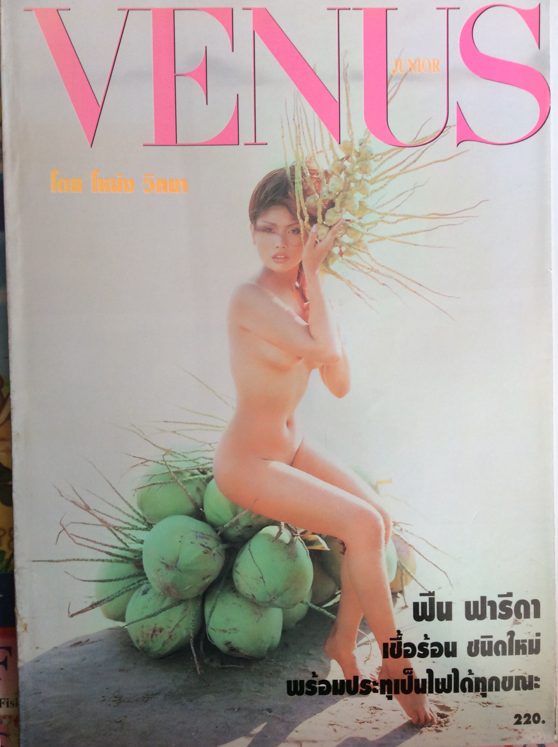 venus junior