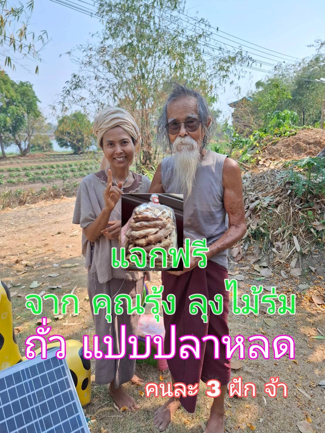 แจกฟรีถั่วแปบปลาหลด จากคุณรุ้ง ลุงไม้ร่ม คนละ3 ฝัก