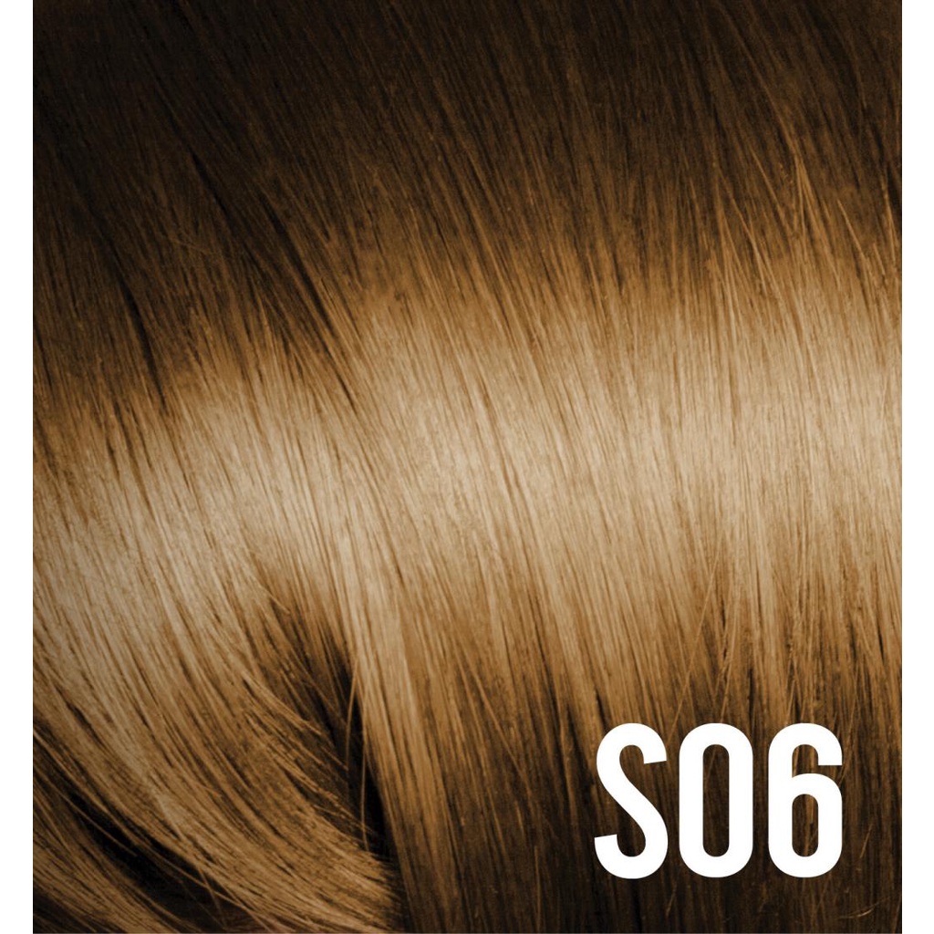 DIPSO HAIR COLOR #S06 Golden Nut Brown ยาย้อมผม ติ๊พโซ่ แฮร์ คัลเลอร์ S06 น้ำตาลลูกนัทประกายทอง ขนาด 110 กรัม