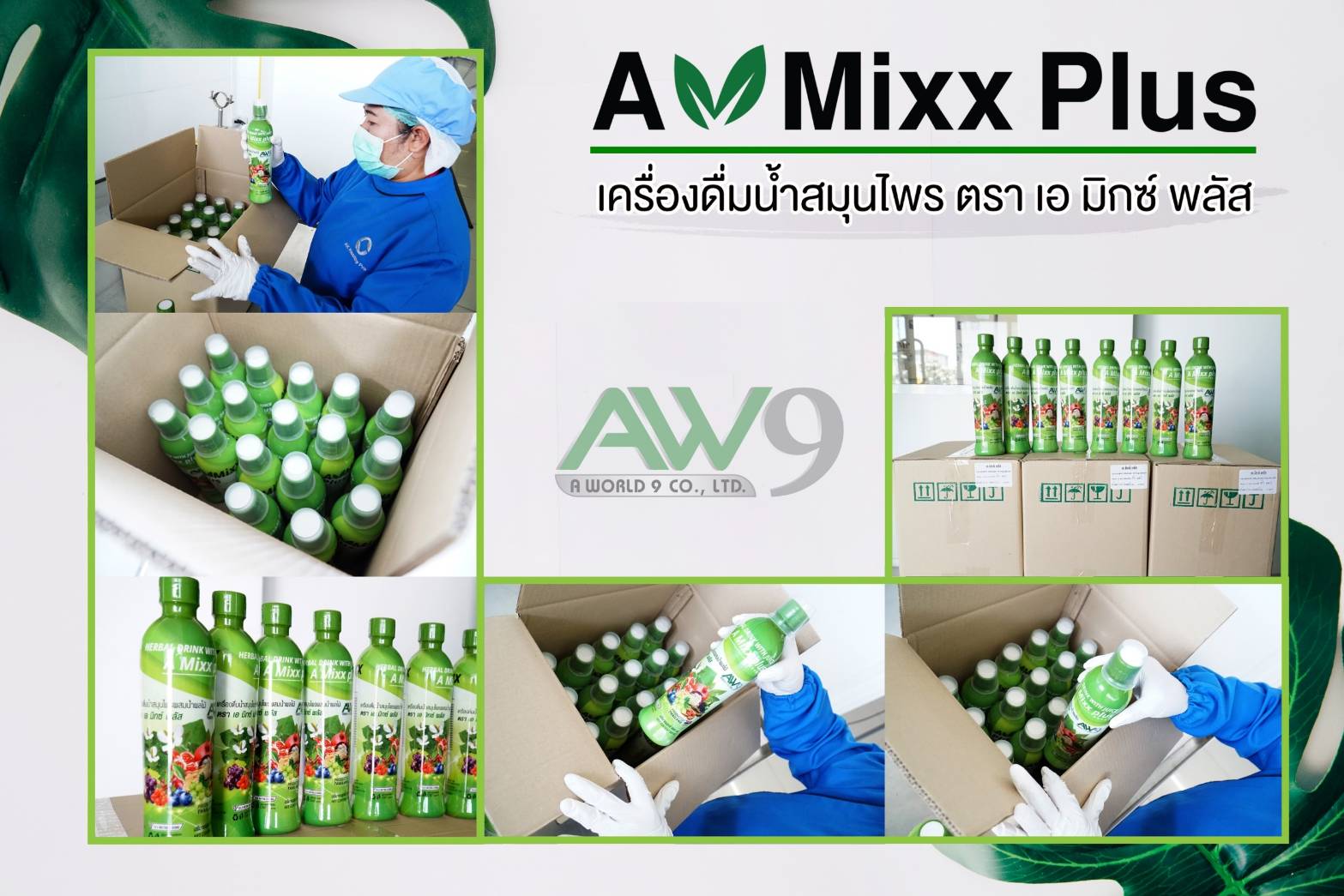 a mixx plus ของแท้ a mixx plus ของแท้