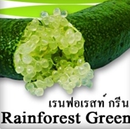 มะนาวคาเวียร์ มะนาวนิ้วมือ Finger Lime