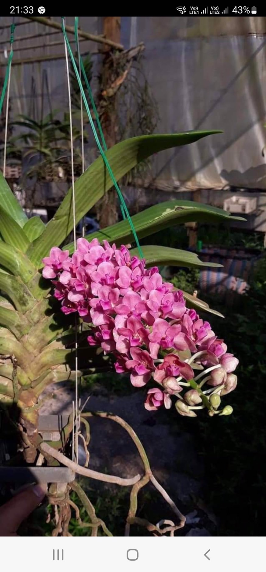 ลวดมัดต้นไม้ ลวดผูกต้นไม้ ลวดขึงสแลน ลวดเพาะชำ ลวดผูกป้าย ลวดบอนไซ ลวดคล้องป้าย ลวดมัดงานเกษตร ลวดลวดมัดสแลน หุ้มแบบกลม-บจก.พลาสติกแอนด์ไวร์โปรดัก WT26-0002