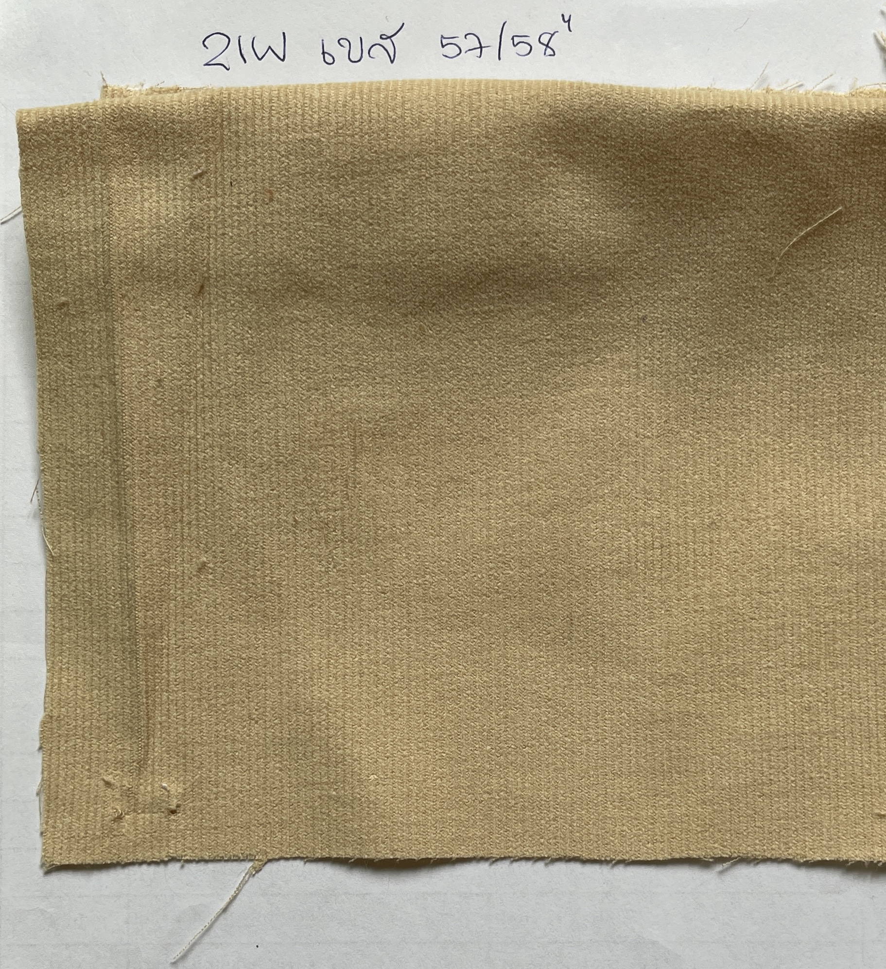 ผ้าลูกฟูก 21W corduroy fabric 100%cotton ผ้าม้วน ผ้าขายส่ง ผ้าพร้อมส่ง ขายส่งยกม้วน ผลิตเสื้้อผ้าเด็ก กางเกงขาสั้น แจ๊คเกิ็ต กระเป๋า รองเท้า หน้า 57 นิ้ว