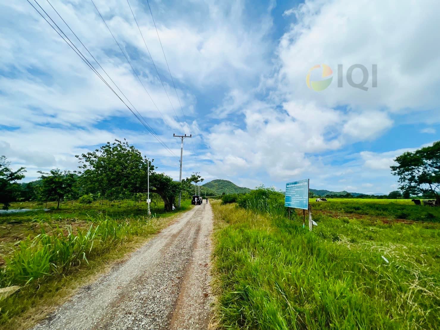 ขายที่ดิน วิวภูเขา เนื้อที่ 5ไร่ 2 งาน 81 ตารางวา ฮวงจุ้ยมังกรหลังพิงเขา