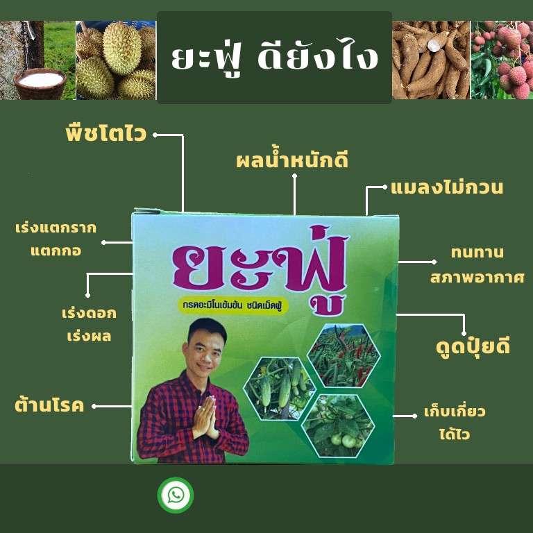 ยะฟู่ กรดอะมิโนจำเป็น สูตรเข้มข้น ชนิดเม็ดฟู่