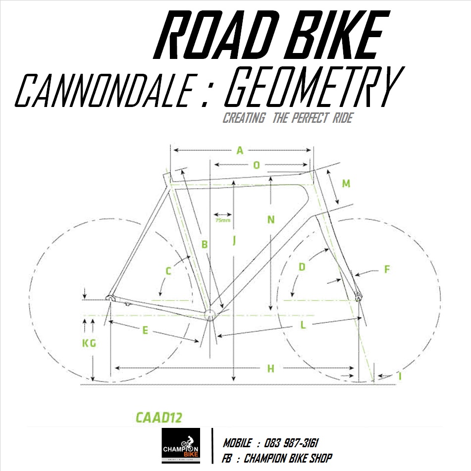 จักรยานเสือหมอบ CANNONDALE : CAAD12 DISC - 2017 ROAD BIKE