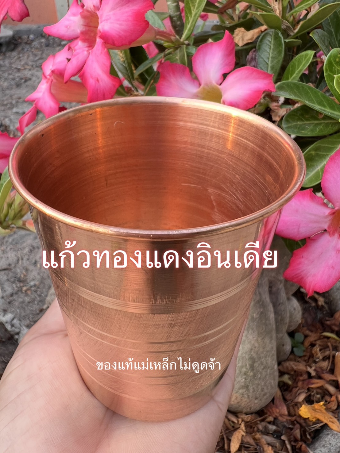 แก้วน้ำทองแดงอินเดีย