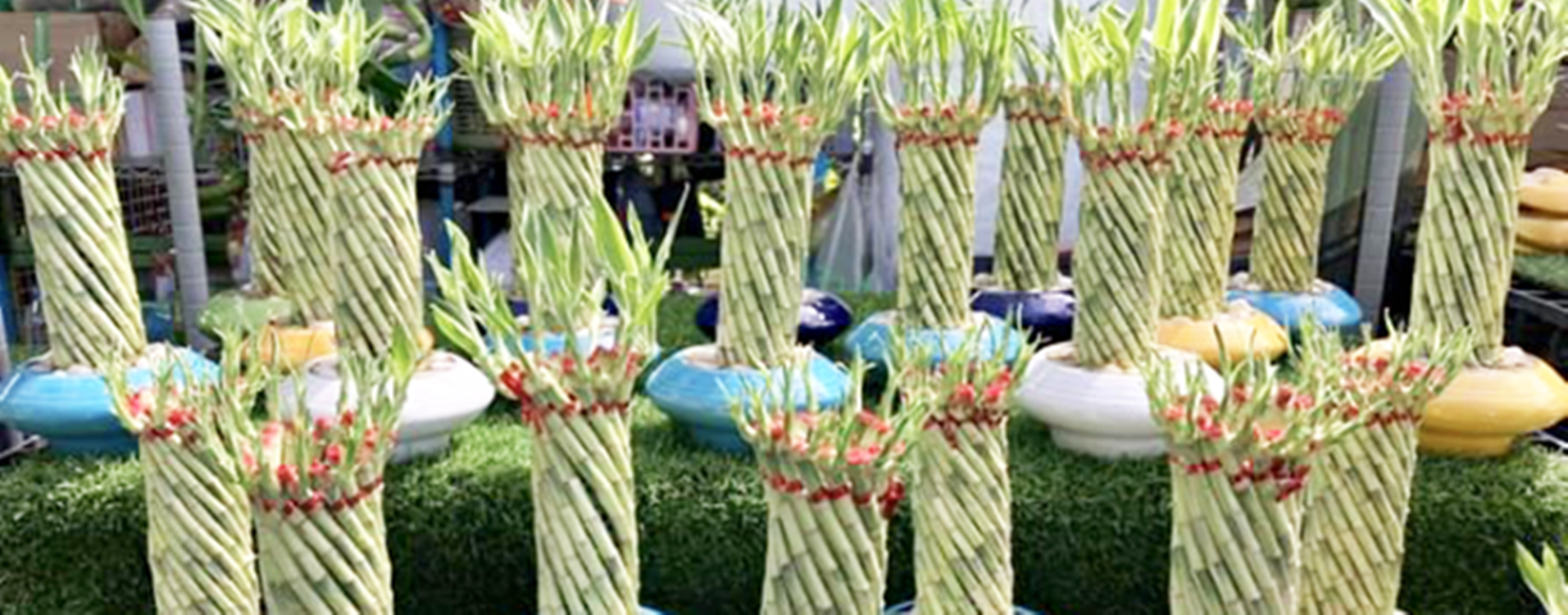 ลวดสี ลวดมัดปากถุง ลวดมัดปากถุงเบเกอรี่ ลวดมัดปากถุงขนม ลวดเบเกอรี่ ริบบิ้นลวด ลวดมัดสินค้า P&W,P&W TWIST-TIES P&W20Y-03