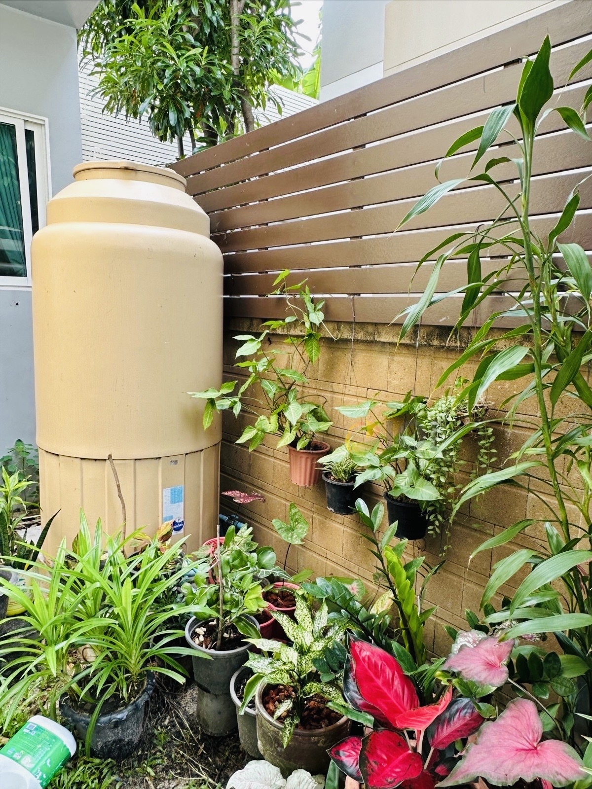 ขายบ้านเดี่ยว 2 ชั้น Casa Legend เกษตร-นวมินทร์ รามอินทรา 14