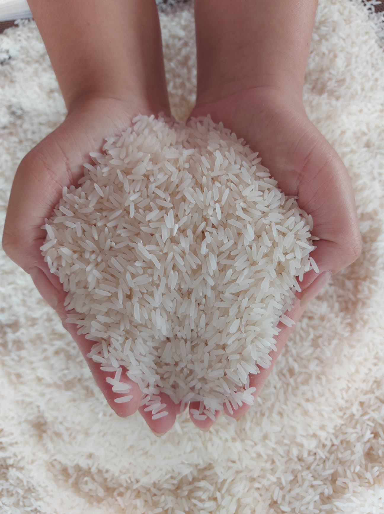 ข้าวสารหอมมะลิใหม่ (ข้าวอินทรีย์ 100%) 2กก.สั่งกล่องละไม่เกิน 7 ถุงนะครับ