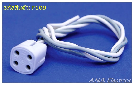 ขั้วรับหลอด (G10Q) แบบขั้วสี่สาย