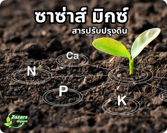 ซาซ่าส์ มิกซ์ (สารปรับปรุงดิน)
