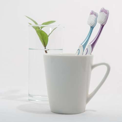 19072-แปรงสีฟัน ริชชี่ อารีก้า ปาล์ม (12 ชิ้น)