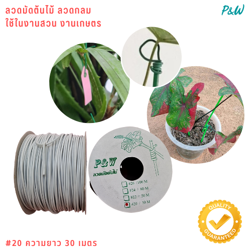ลวดมัดต้นไม้ ลวดผูกต้นไม้ ลวดขึงสแลน ลวดเพาะชำ ลวดผูกป้าย ลวดบอนไซ ลวดคล้องป้าย ลวดมัดงานเกษตร ลวดลวดมัดสแลน หุ้มแบบกลม-บจก.พลาสติกแอนด์ไวร์โปรดัก WT20-04