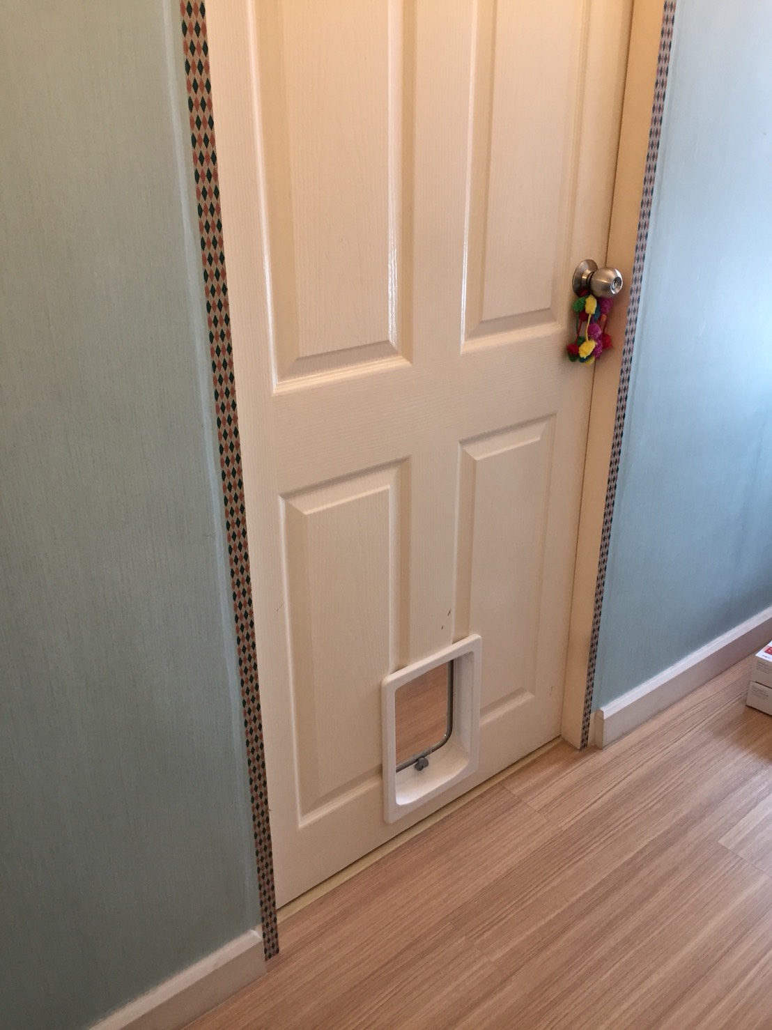 Door for pet ประตูแมว