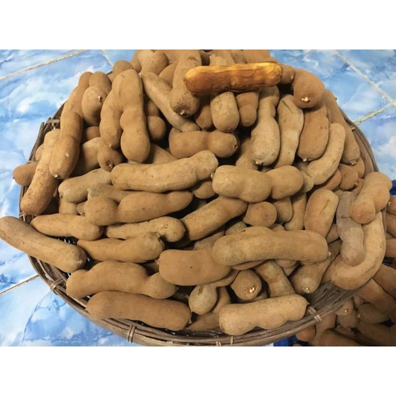 💢ต้นมะขามหวานสีทอง ต้นสวยพร้อมปลูกคะ