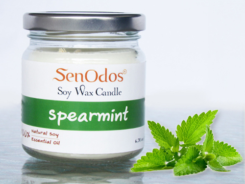 SenOdos เทียนหอม อโรม่า เทียนหอมสปา Spearmint Scented Soy Candle Scented 190 g. -กลิ่นสเปียร์มินต์แท้