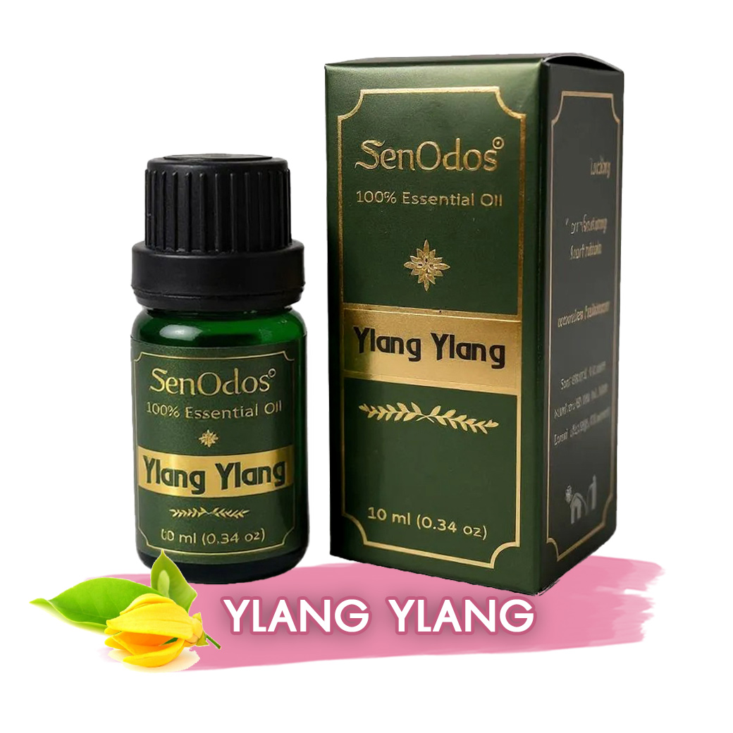 SenOdos Ylang Ylang Pure Essential Oils น้ำมันหอมระเหย แท้ กลิ่นกระดังงา 10ml