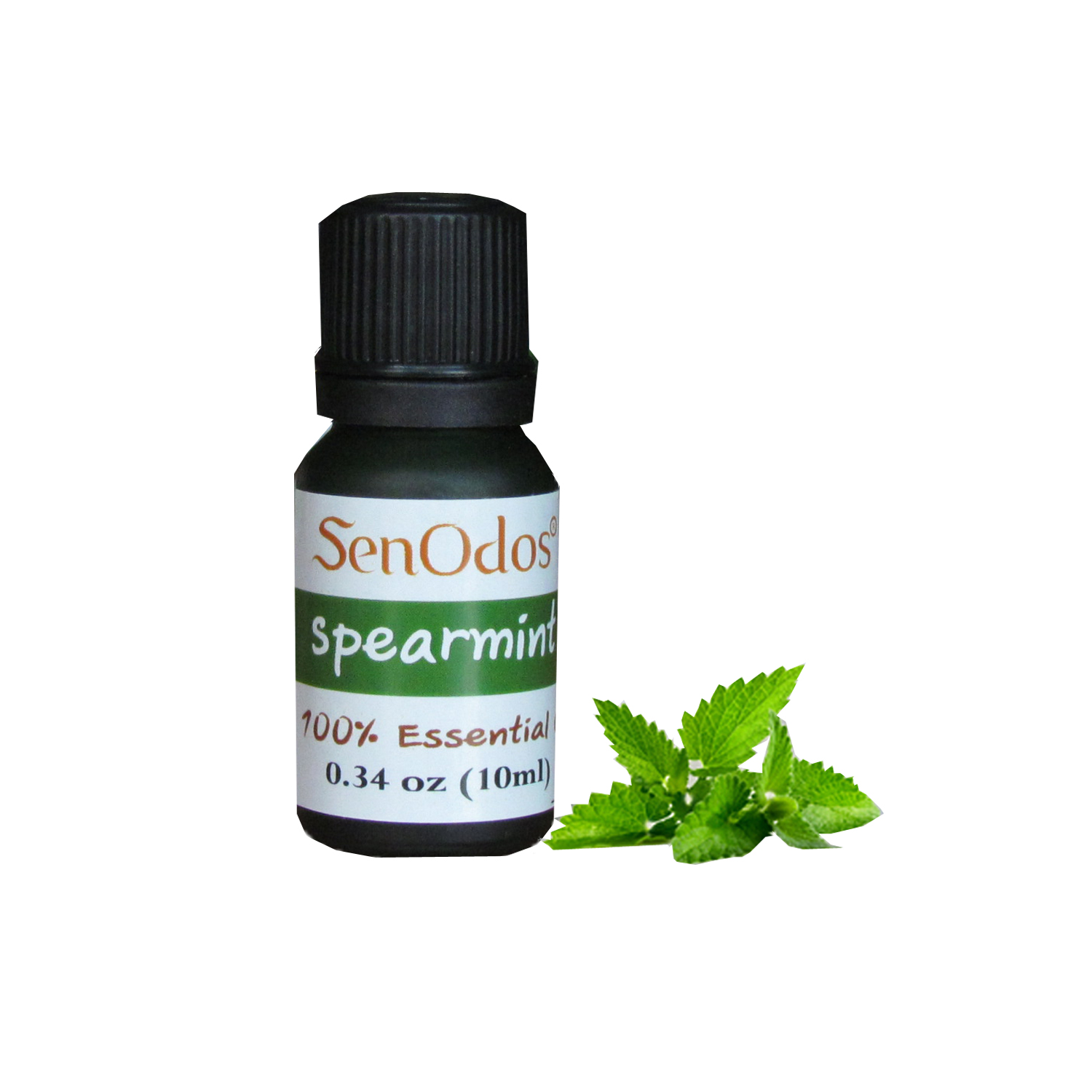 ชุดเซ็ตน้ำมันพร้อมเตาเผา (กลิ่นสเปียร์มิ้นต์) 10ml.+ เตาเผาน้ำมันหอมระเหย เซรามิค เครื่องปั้นดินเผา เนื้อศิลาดล สีเขียวหยก ลวดลายใบมะกอก และลายน้ำไหลหลากสีสวยงาม (แถมฟรี!! เทียนไขถั่วเหลืองบริสุทธิ์ 15 g. X 2 ชิ้น ราคา 120 บาท)