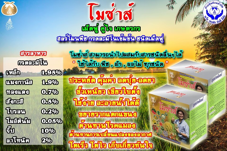 โมซ่าส์ อะมิโนจำเป็น ชนิดเม็ดฟู่