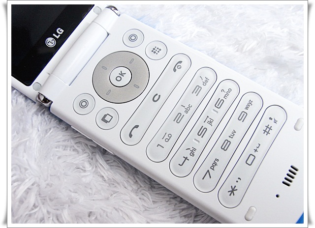 LG GD580 Lollipop Blue