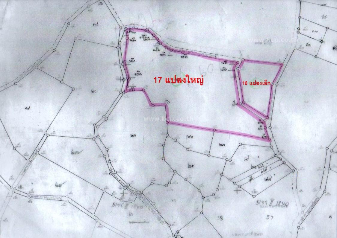 ขายที่ดินเปล่า ถ.สายห้วยคู ซ. 6 ต.ตะเคียนเตี้ย อ.บางละมุง จ.ชลบุรี