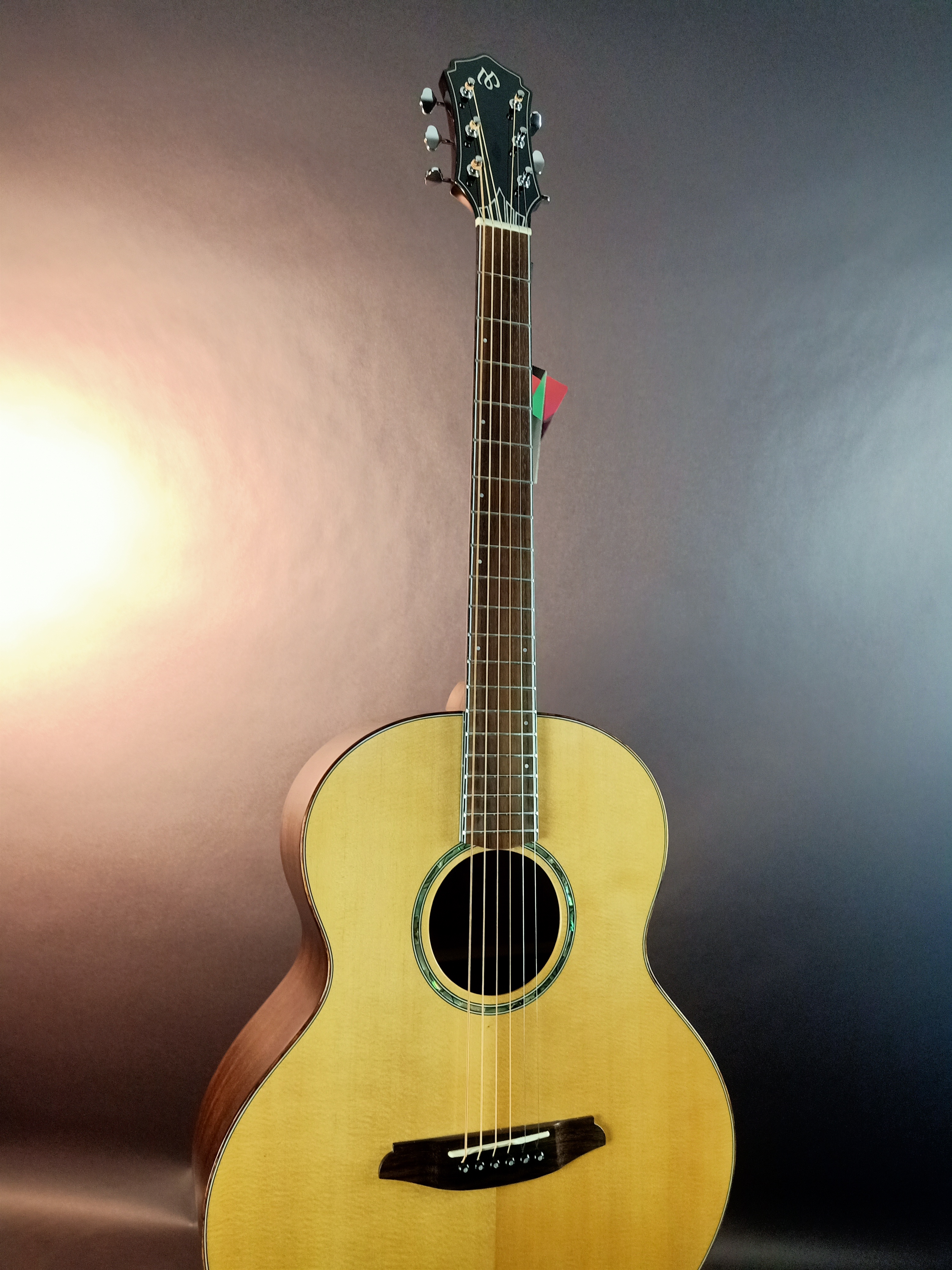 Mollo Guitar Model MS2