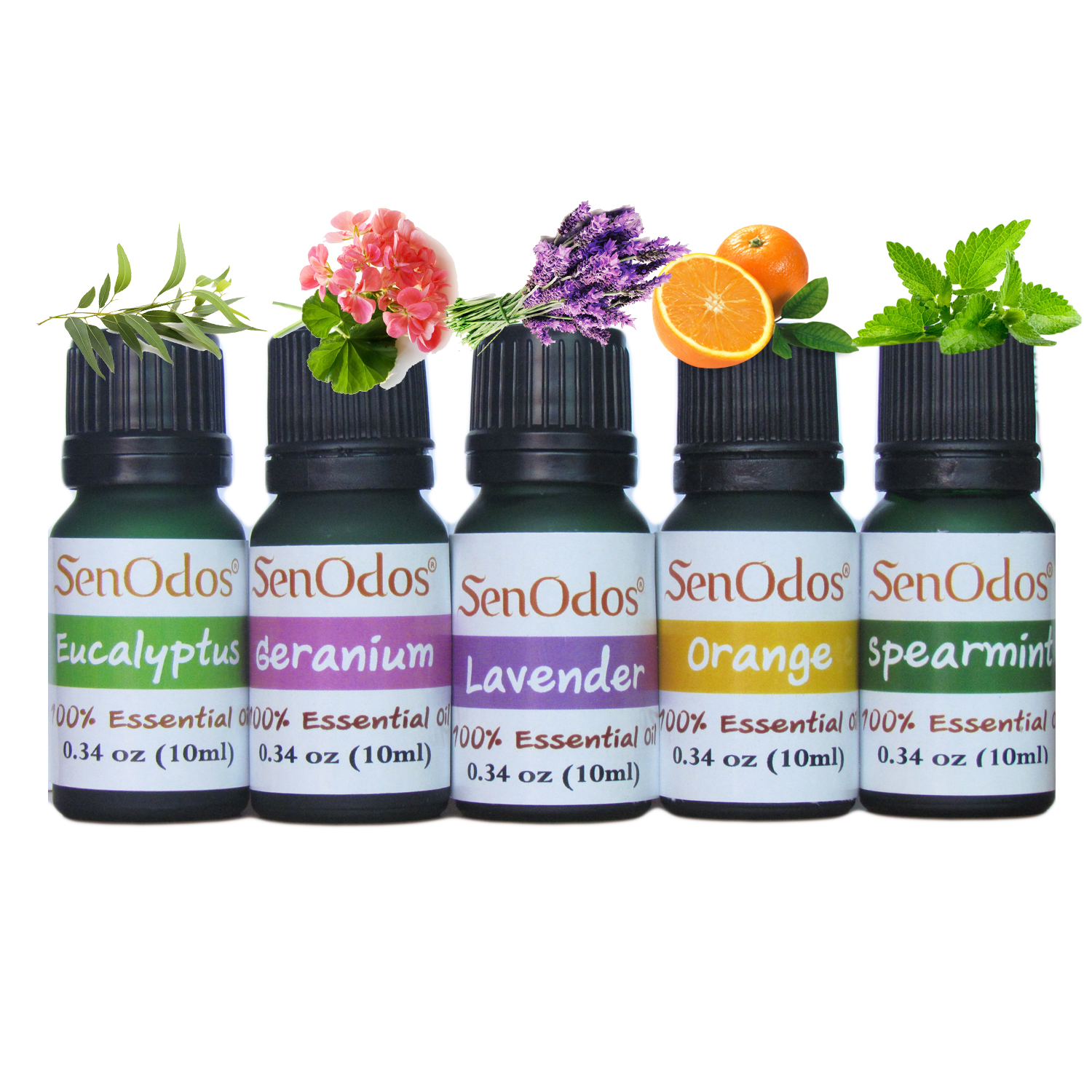 SenOdos ชุดเตาเผา น้ำมันหอม อโรม่า ชุดกลิ่นสำหรับสัตว์เลี้ยง Essential Oil For Pet Set 10 ml x 5 กลิ่น (กลิ่นยูคาลิปตัส, กลิ่นเจอร์เรเนี่ยม, กลิ่นลาเวนเดอร์, กลิ่นส้ม, กลิ่นสเปียร์มิ้นต์)