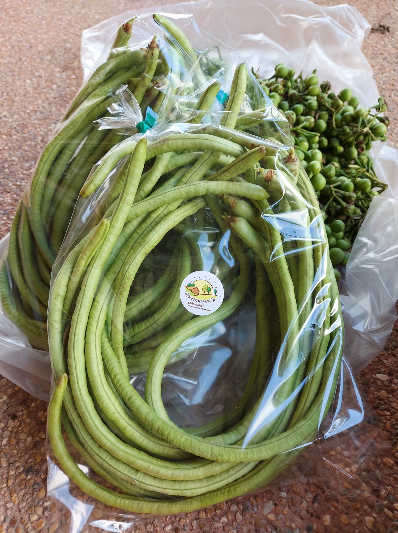 ถั่วฝักยาวออแกนิค 400 กรัม