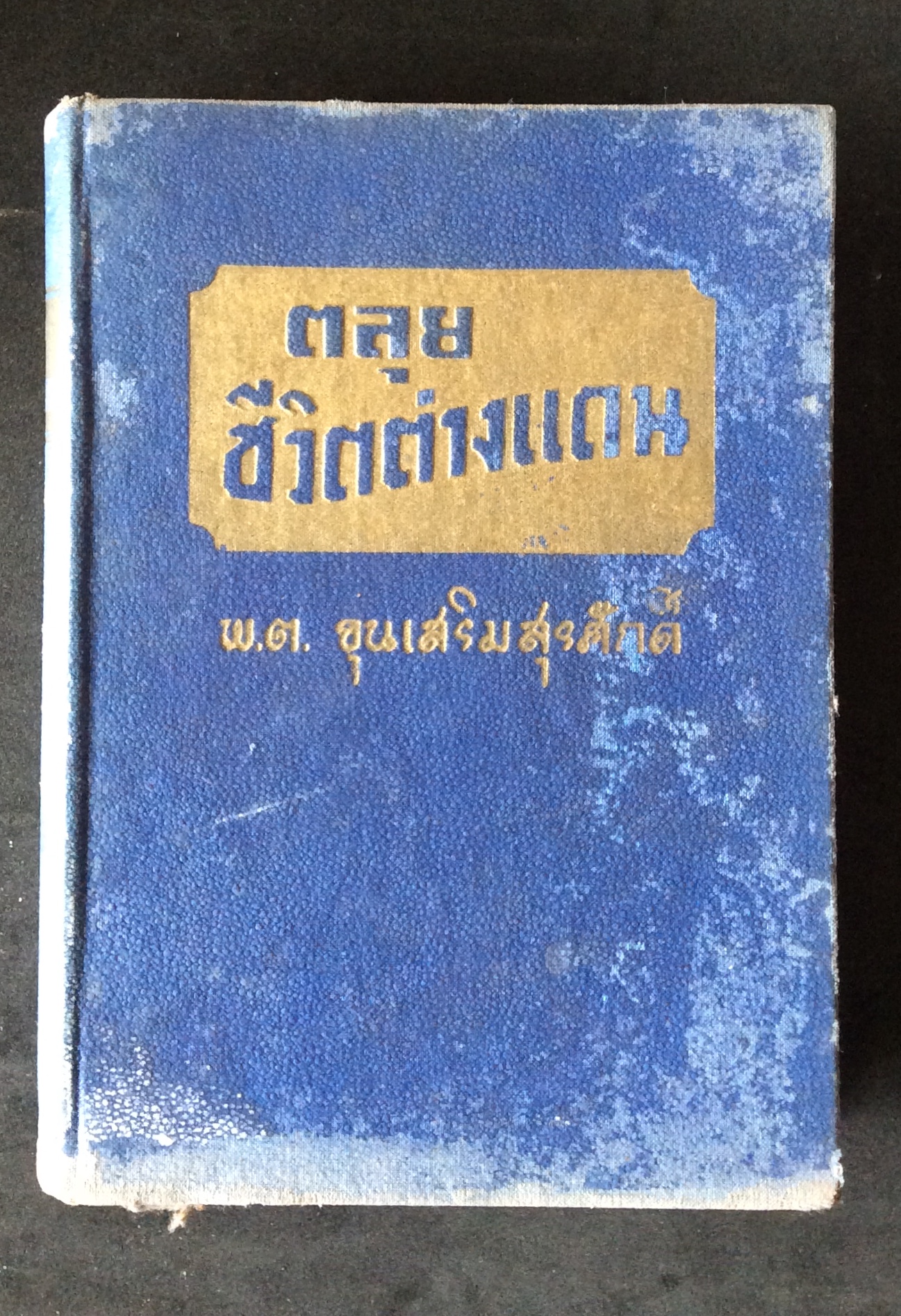ตลุยชีวิตต่างแดน