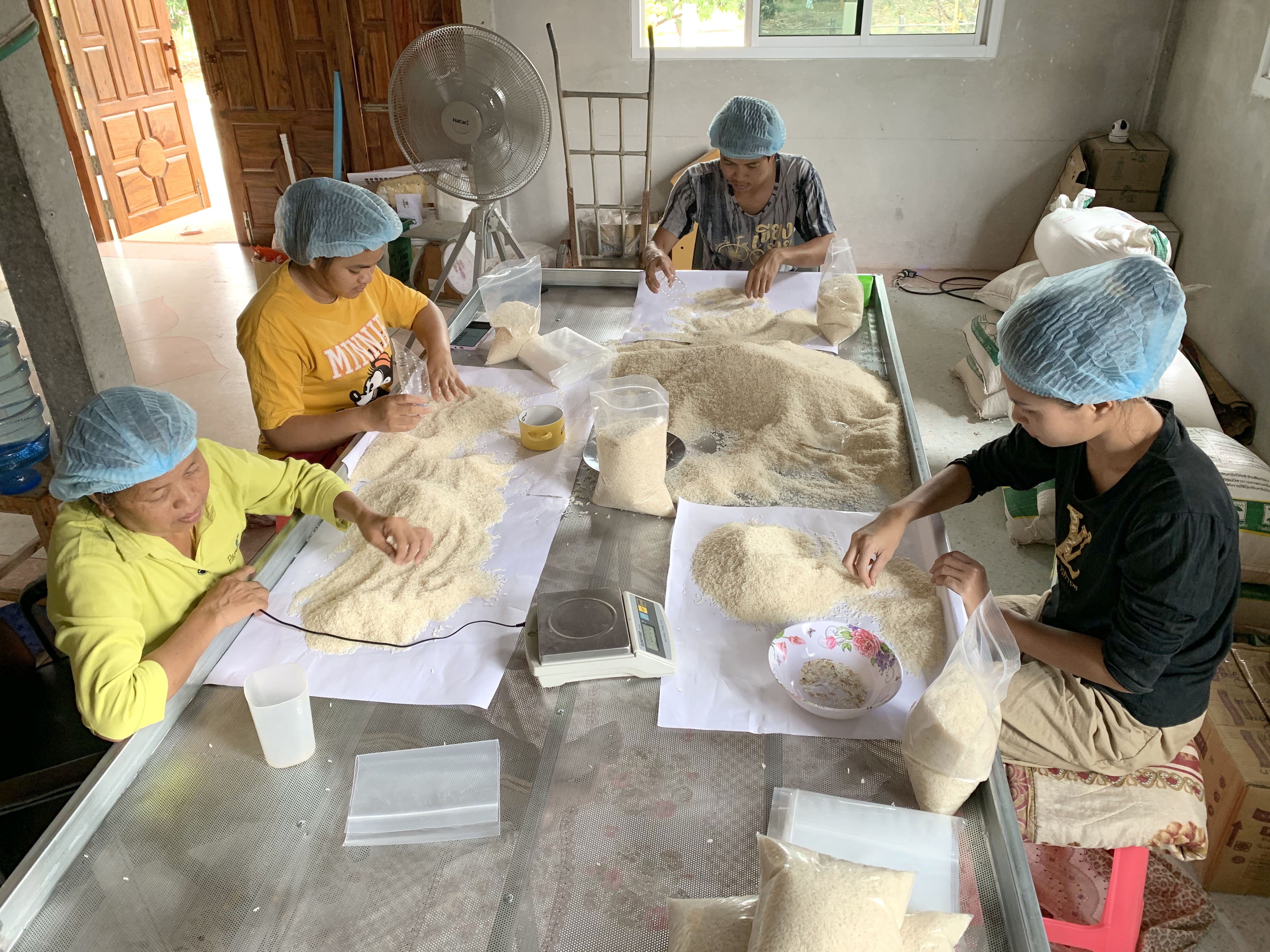 ข้าวสารหอมมะลิใหม่ (ข้าวอินทรีย์ 100%) 2กก.สั่งกล่องละไม่เกิน 7 ถุงนะครับ