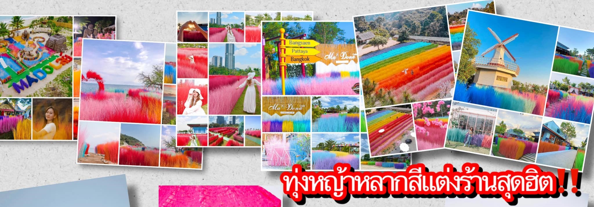 หินจัดสวน