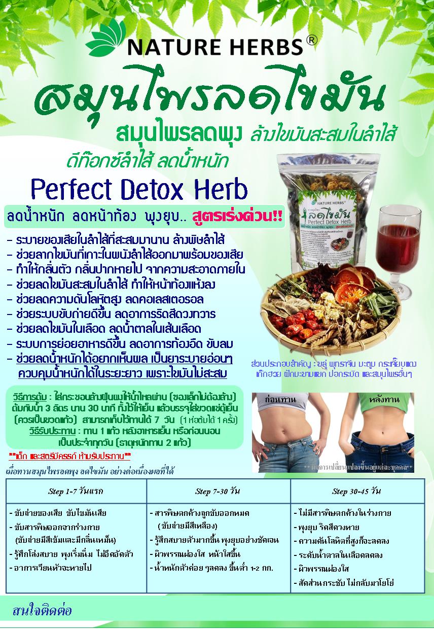 ชาสมุนไพรลดพุง ลดไขมัน Perfect Detox Herb สูตรเร่งด่วน 6 ห่อ (แบบชาต้ม)