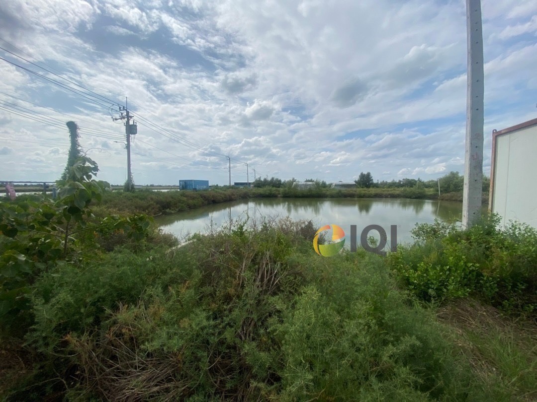 ขายที่ดินเปล่า เนื้อที่ 23 ไร่ 3 งาน 81 ตารางวา ตำบลบ้านคลองสวน อำเภอพระสมุทรเจดีย์