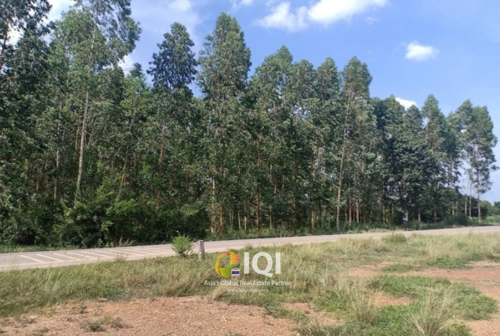 ขายที่ดิน 38 -1 -7 ไร่ อำเภอศรีมหาโพธิ ปราจีนบุรี ห่างทางหลวงหมายเลข 304 เพียง 1.50 กม.